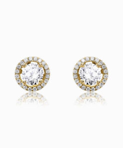 Shining earrings